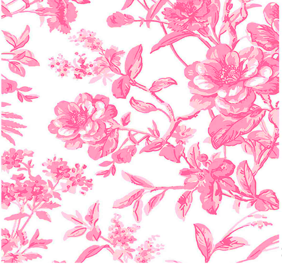 French Toile Printed Linen