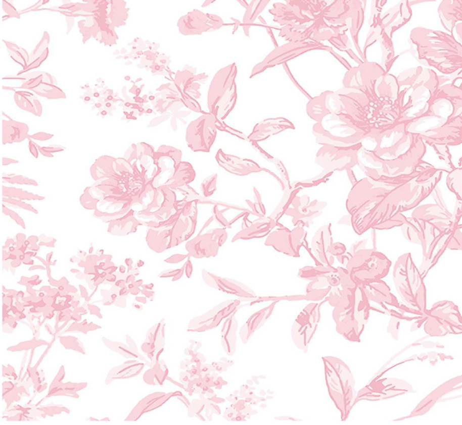 French Toile Printed Linen