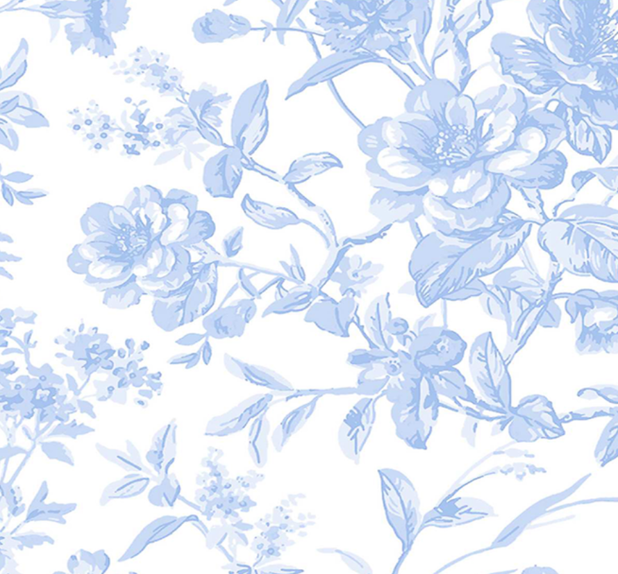French Toile Printed Linen Fabric