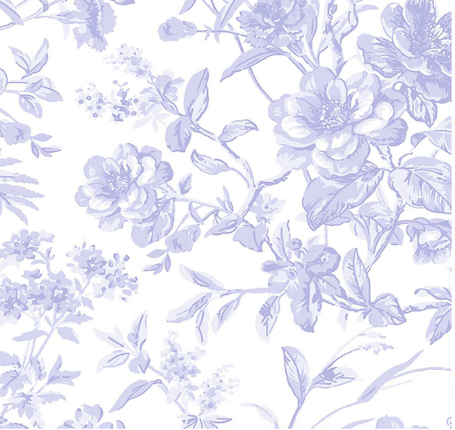 French Toile Printed Linen Fabric